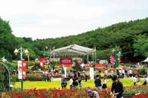蔚山大公園バラ祭り 2