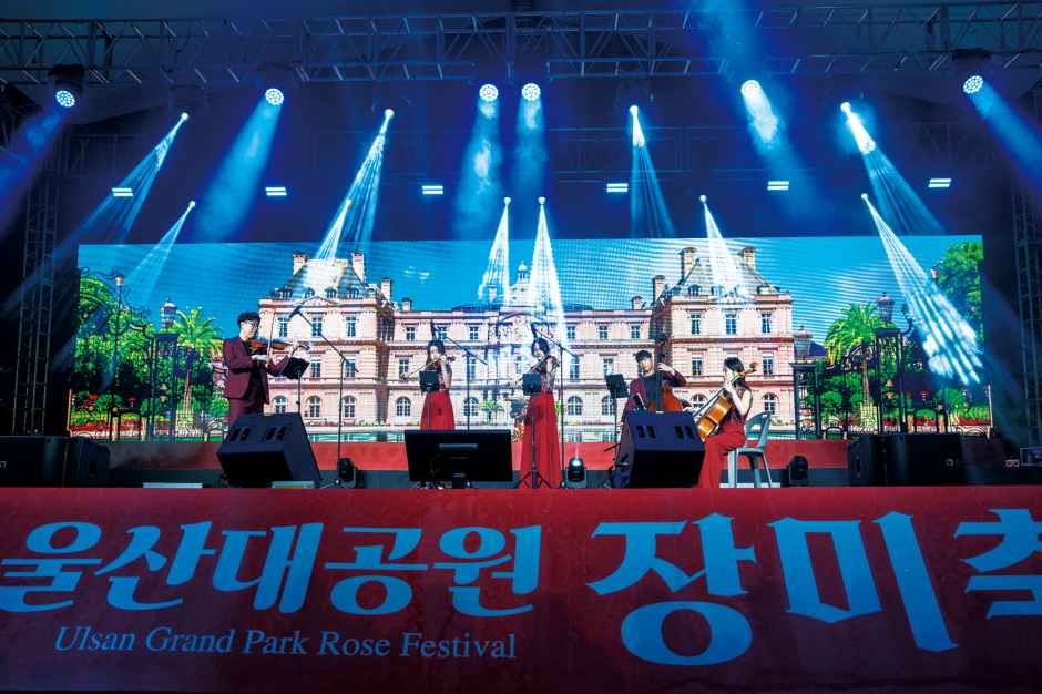 蔚山大公園バラ祭り 4