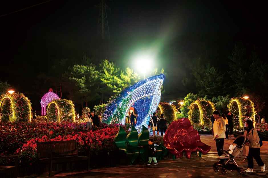 蔚山大公園バラ祭り 6