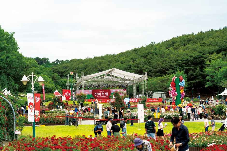 蔚山大公園バラ祭り