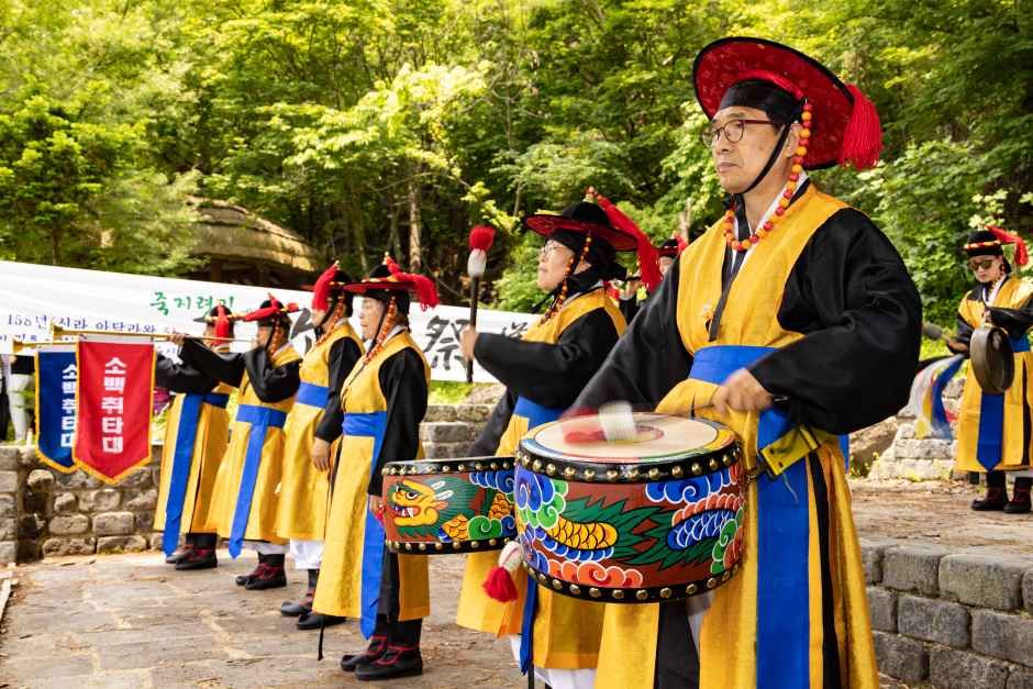 영주 소백산 철쭉제 7