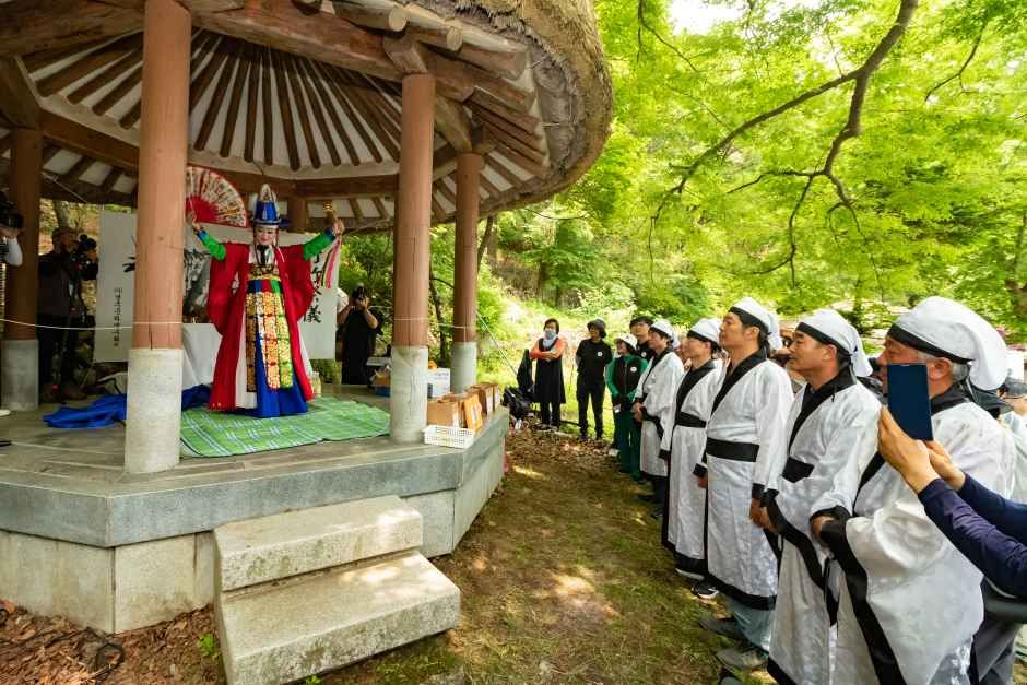 영주 소백산 철쭉제 10