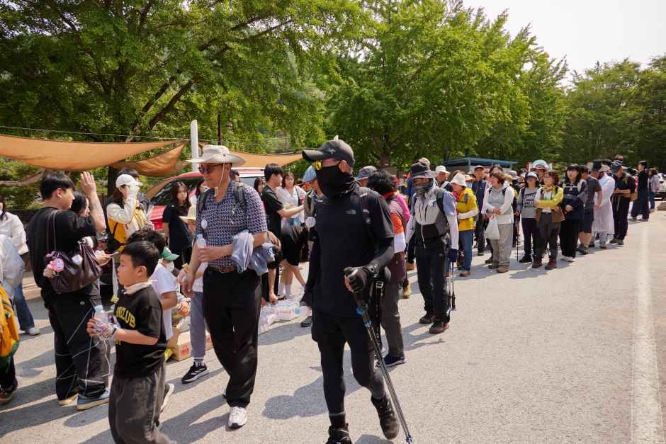 영주 소백산 철쭉제 5