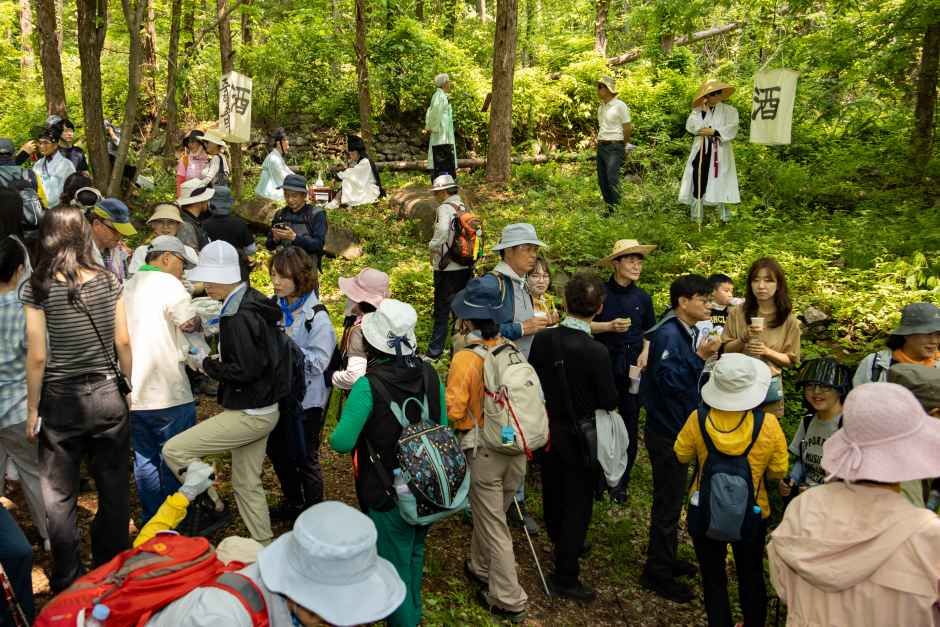 영주 소백산 철쭉제 3