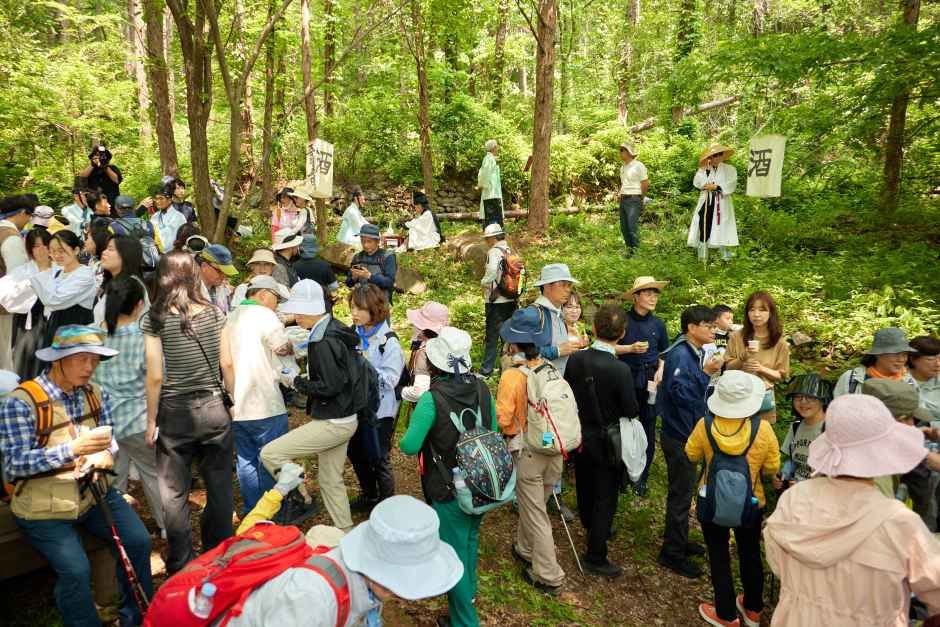 영주 소백산 철쭉제 6