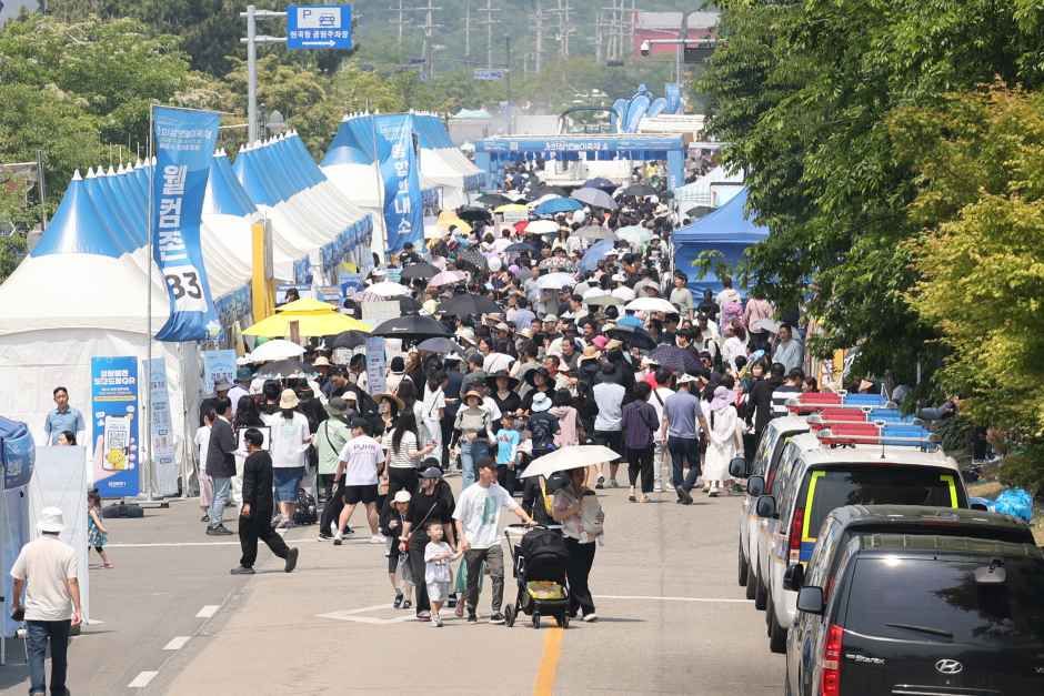 華城舟遊び祭り 3