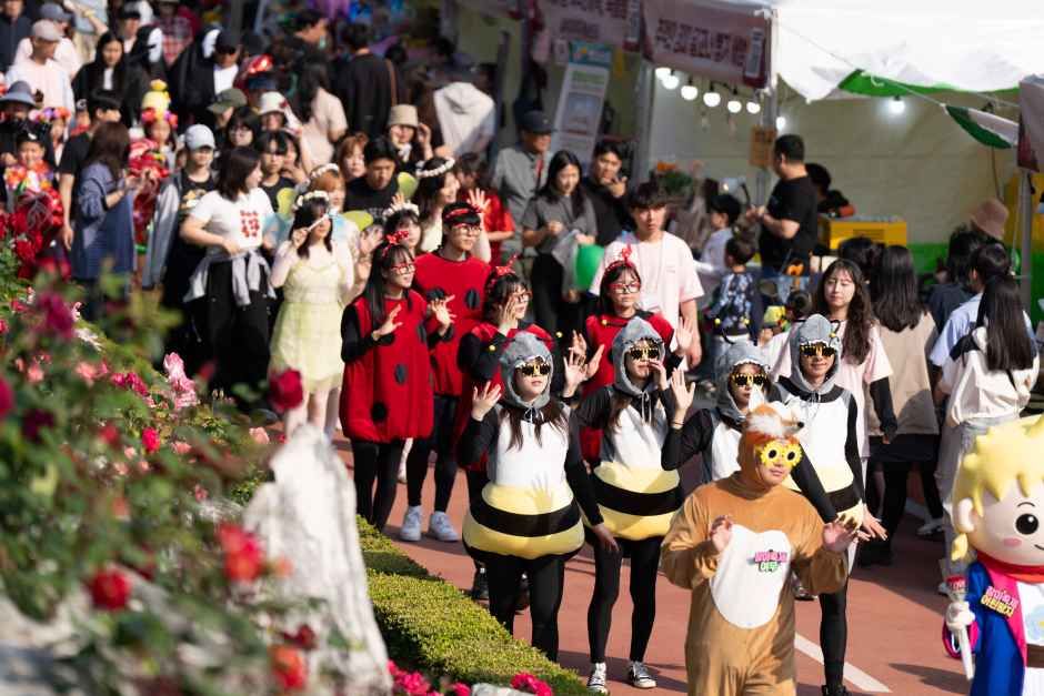 삼척 장미축제 10
