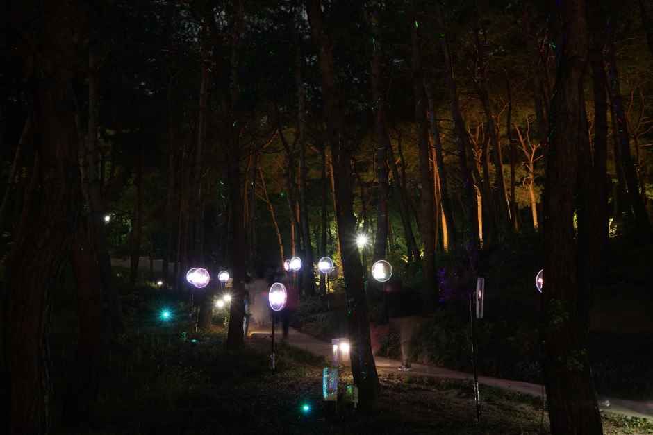 2026 華城行宮 夜間開場 2