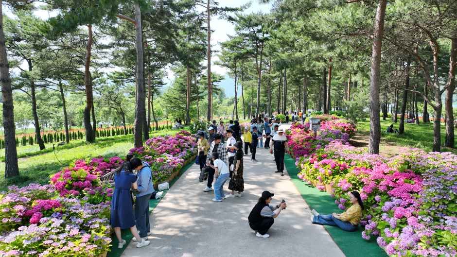 Colorful Garden 자라섬 꽃 페스타 4
