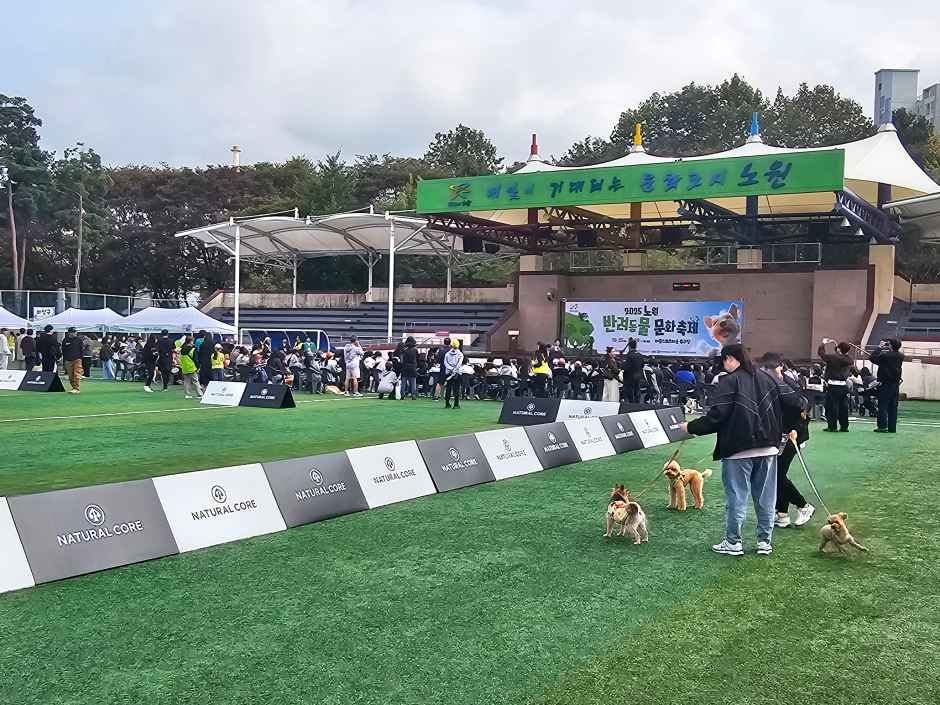 伴侣犬趣味运动节 2